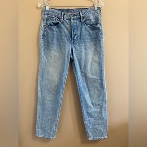 Aritzia Denim Jeans, Light Wash, Paradise Mine Boyfriend Jeans